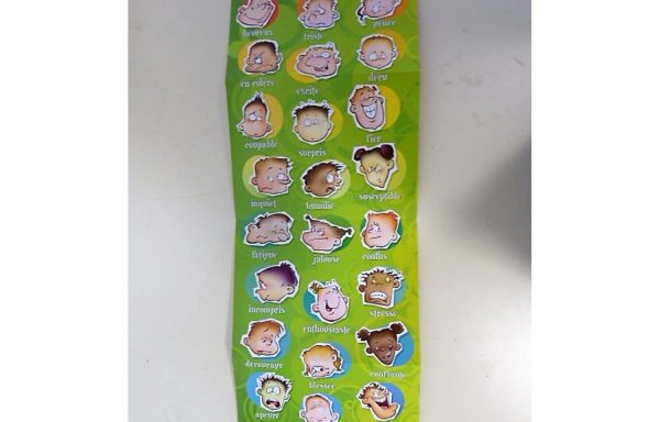 Affiche des émotions : comprendre et mieux vivre ses émotions