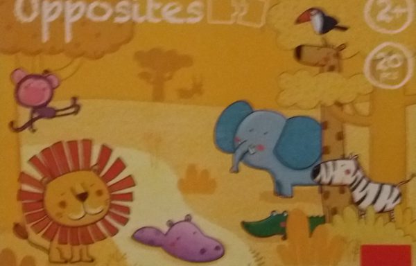 Les opposés : déduction logique