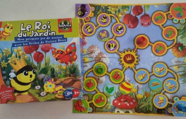Le roi du jardin : jeu de règles et discrimination visuelle