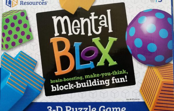 Mental blox : repérage spatial et déduction logique